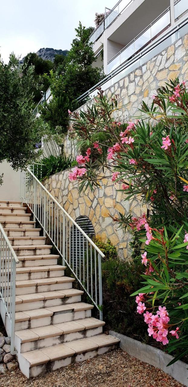 La Terrazza Di Monaco Apartment Кап д'Аил Екстериор снимка